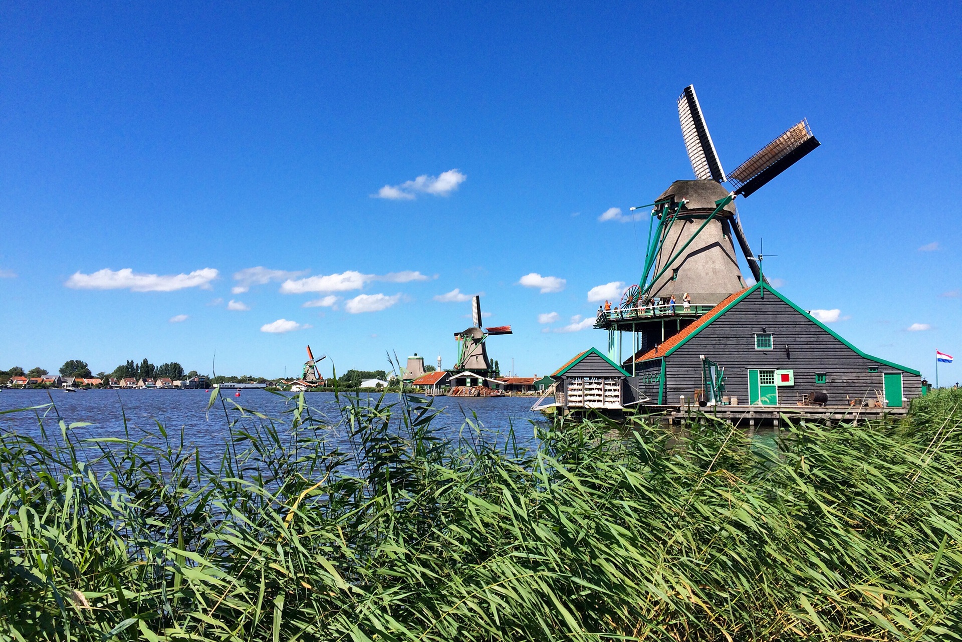 Amsterdam Countryside and Windmils