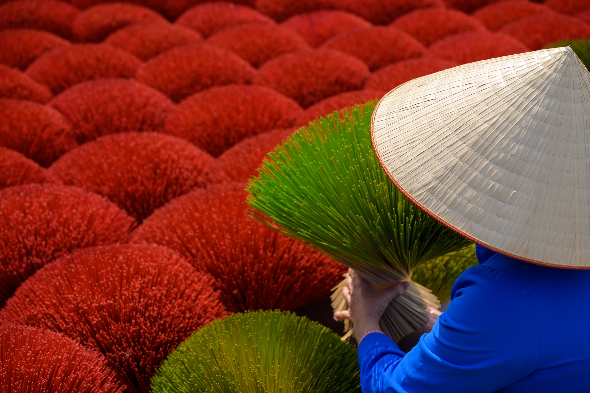 Vietnamese farmer