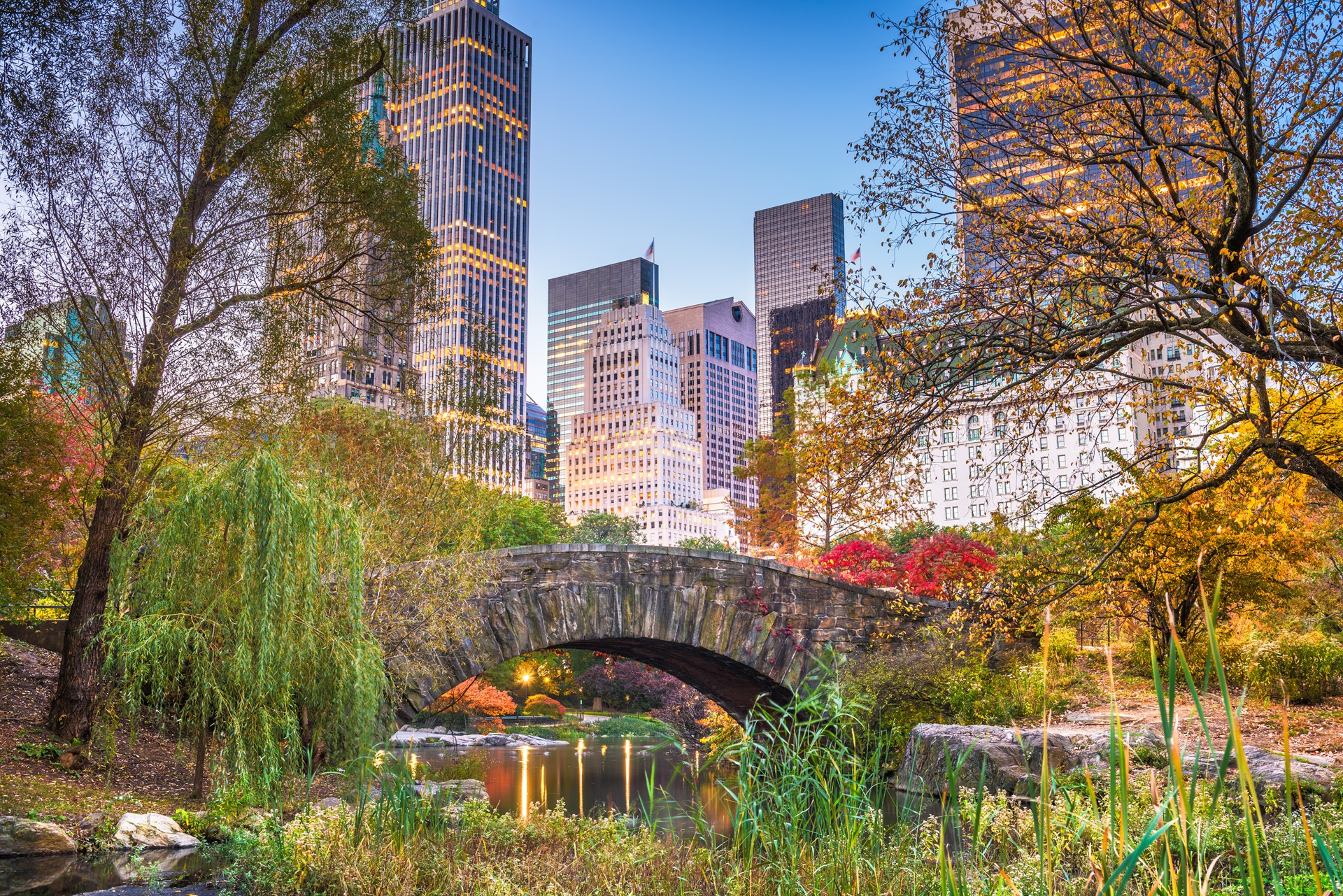 Central Park