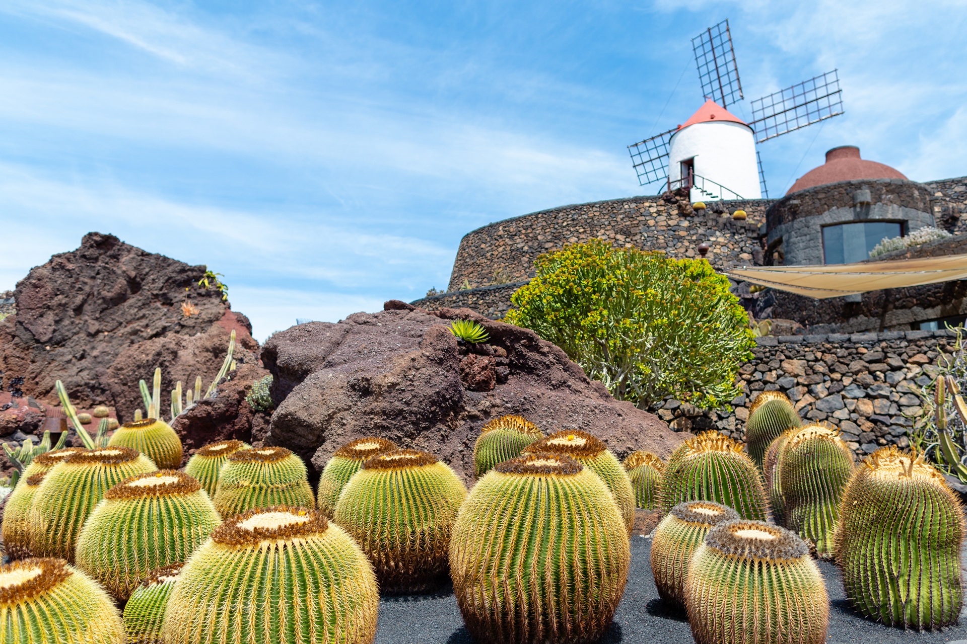 Lanzarote - Jardin de cactus