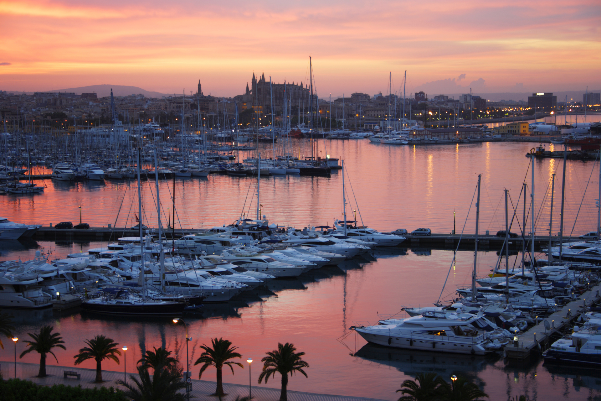 Marina in Palma