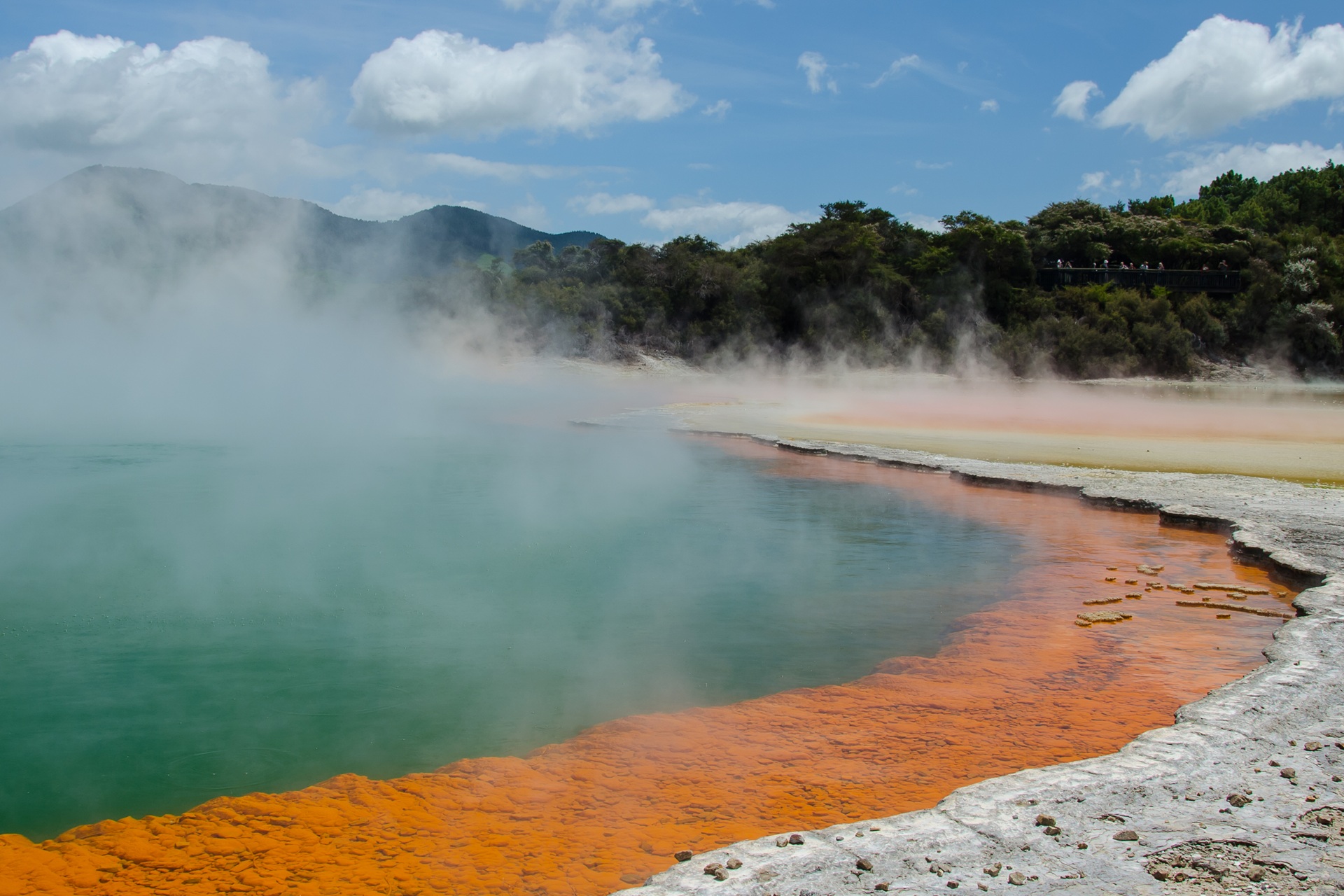 Rotorua New Zealand thermal pools