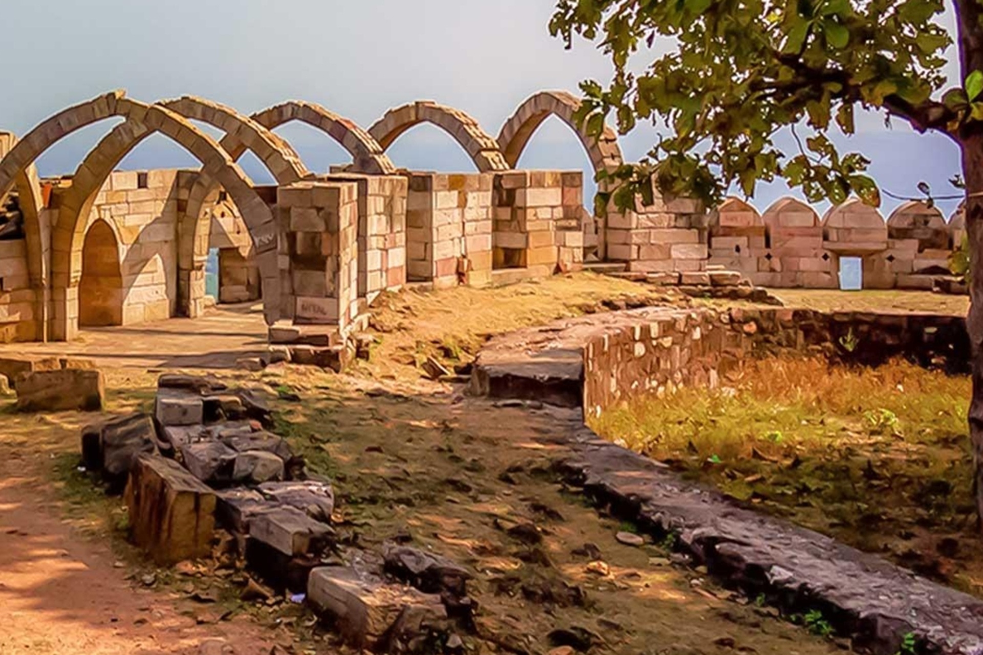 The Chaamapner Pavagadh national park  in Vadodara