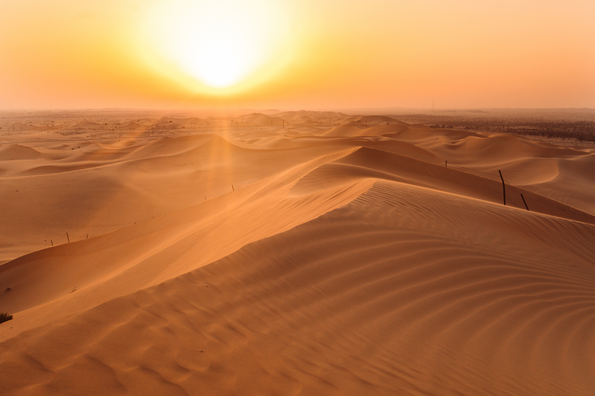 Abu Dhabi Desert