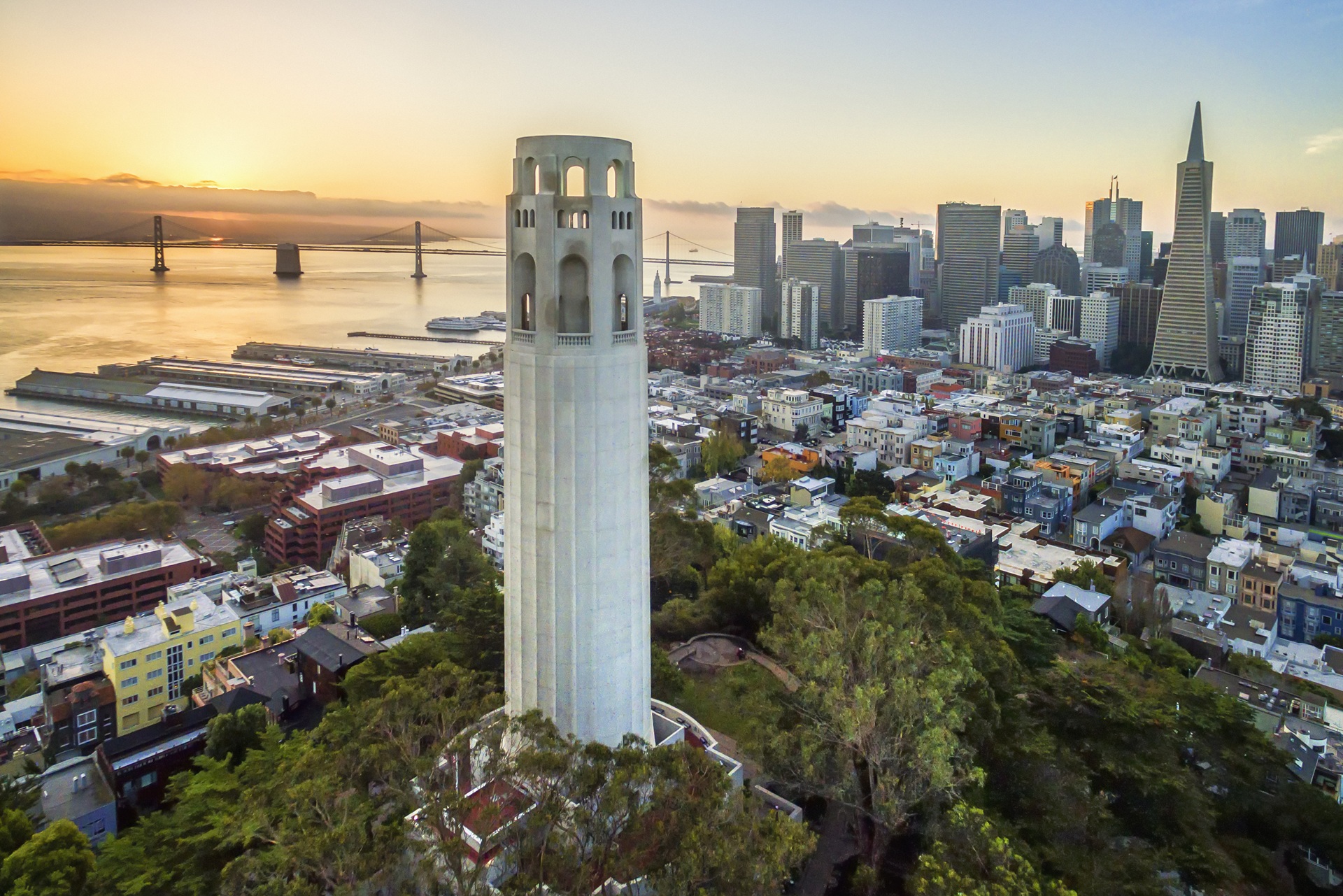 San Francisco Sky Line