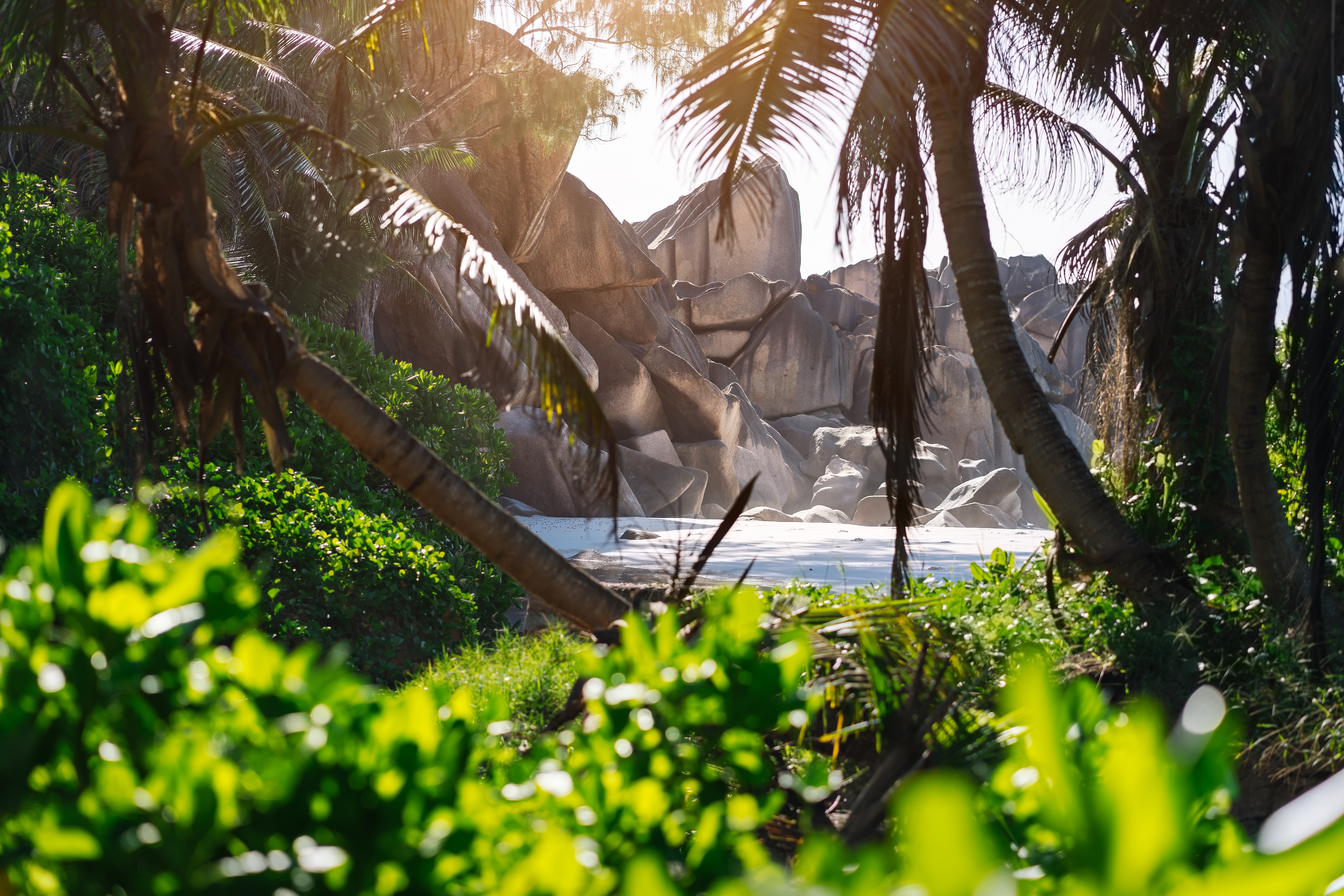 The Seychelles