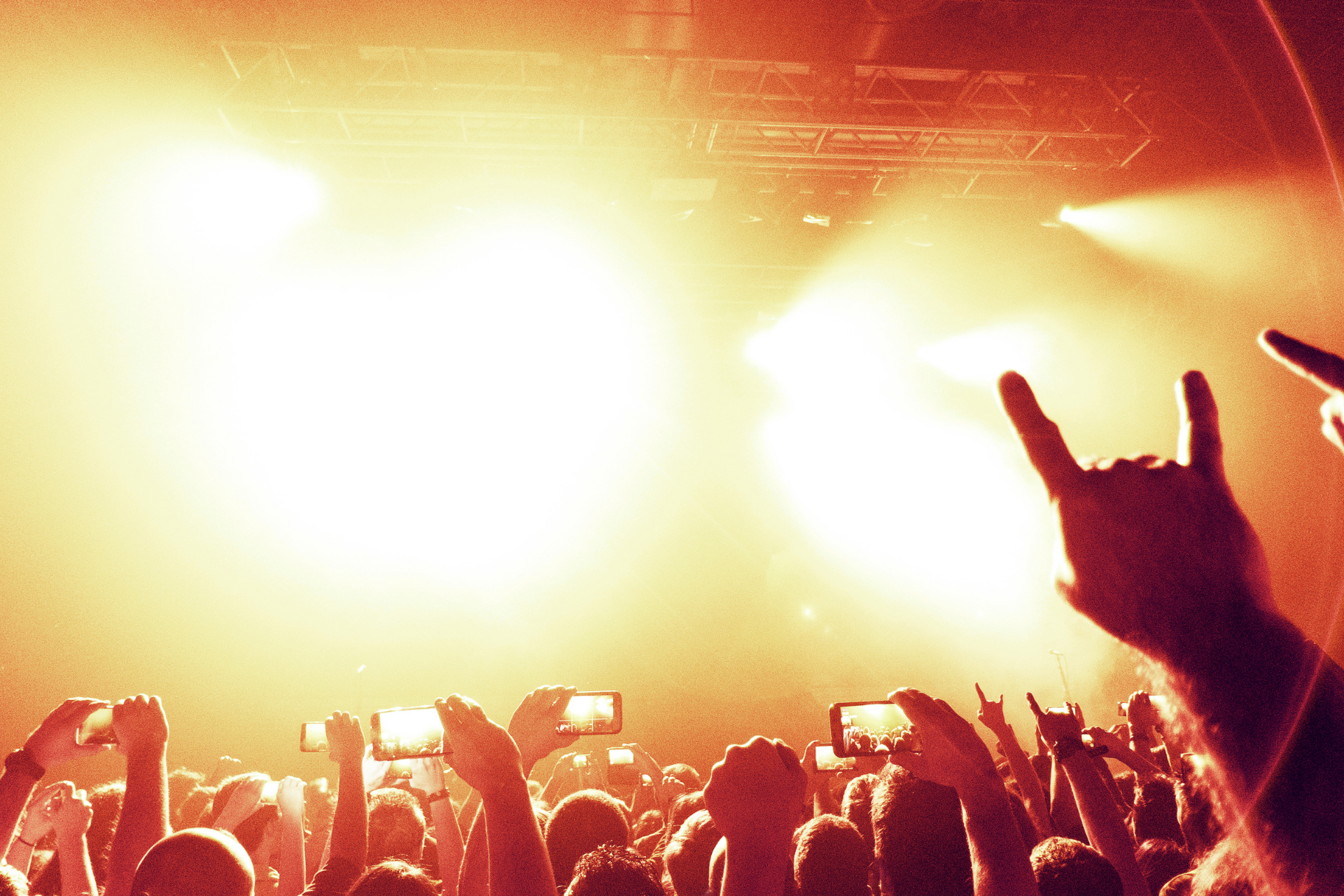 Rock Music Concert Crowd