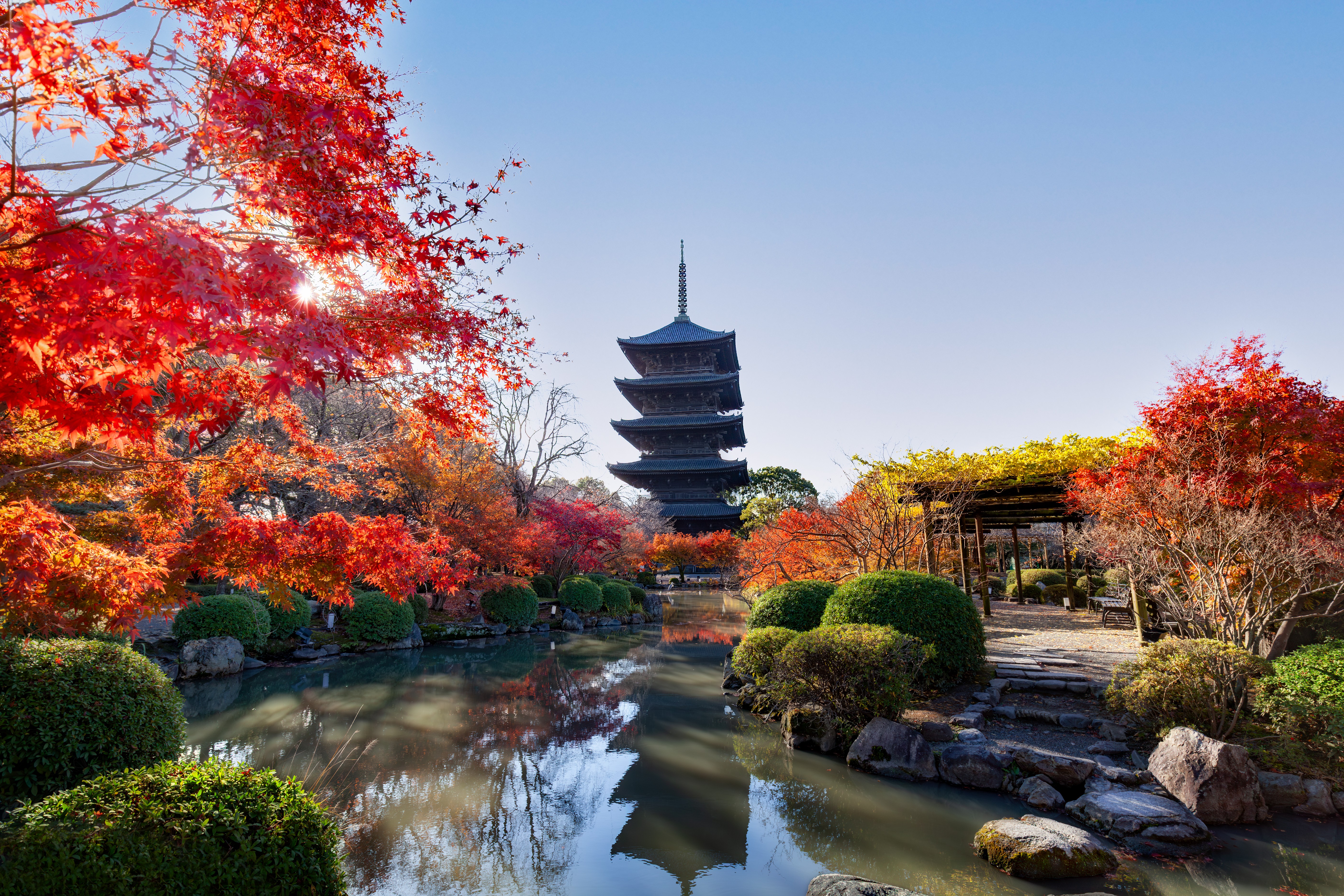 Pagoda of Toji Temple in Kyoto