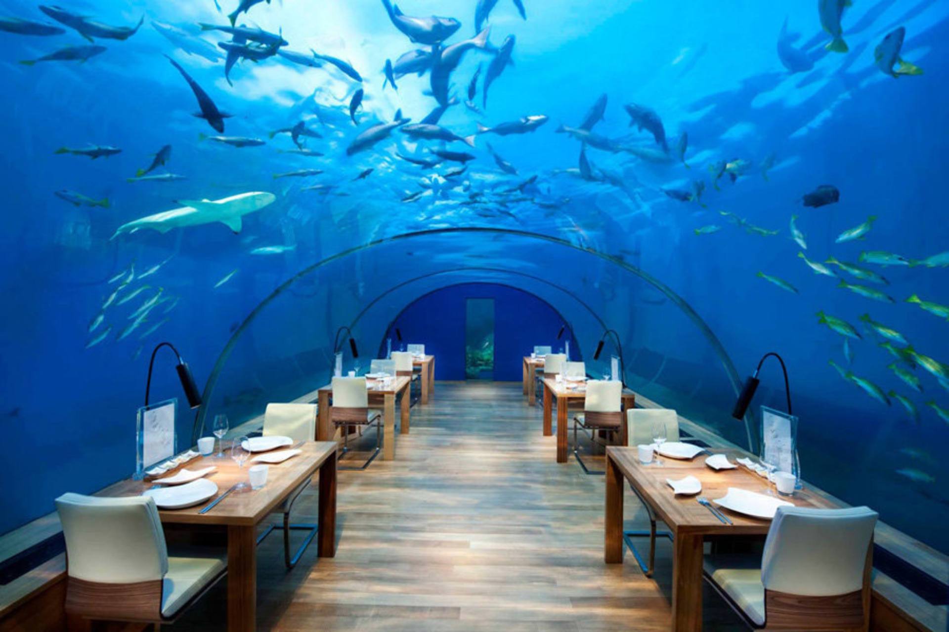 Restaurant under Aquarium in Atlantis Resort Dubai