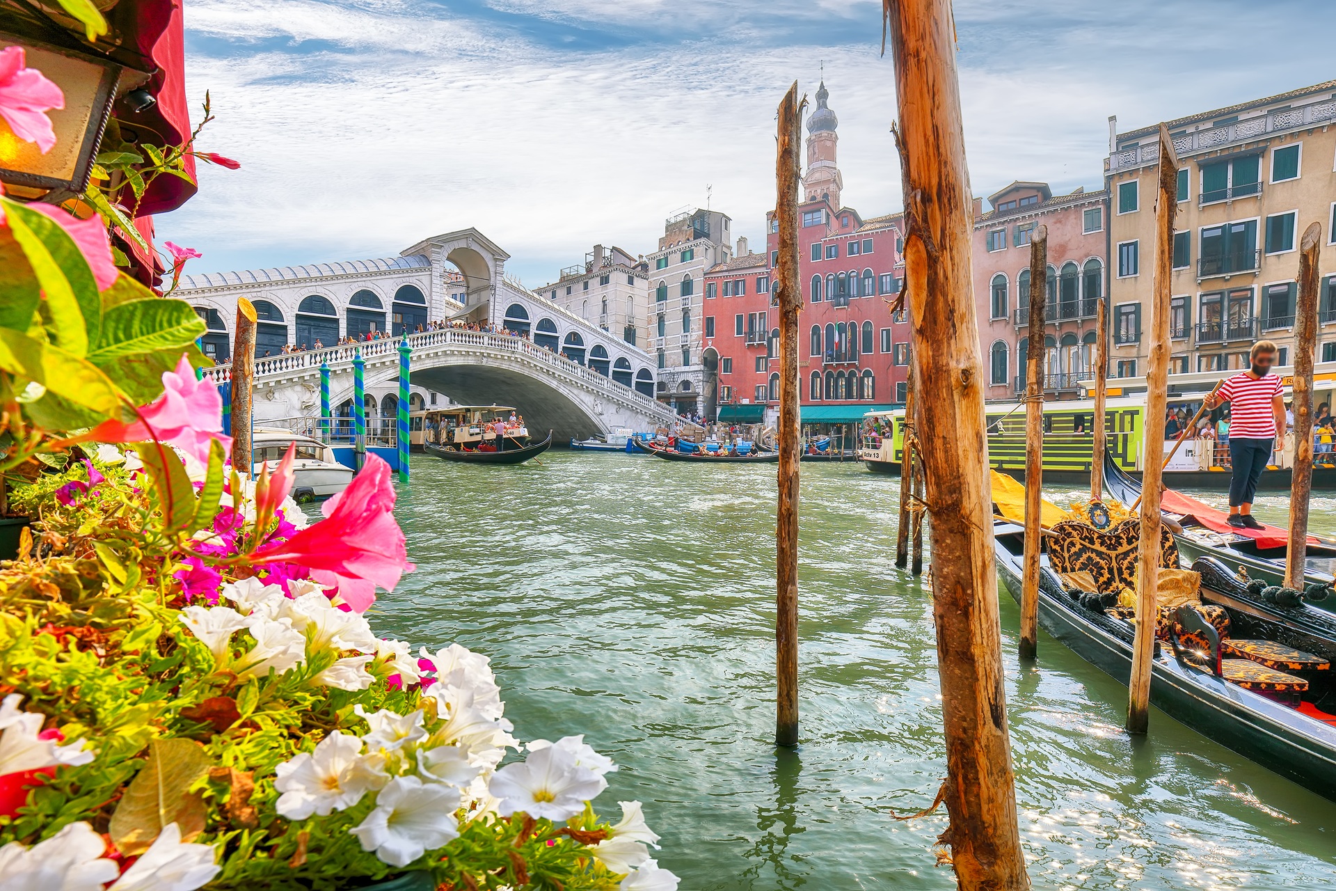 The Rialto Bridge Venice