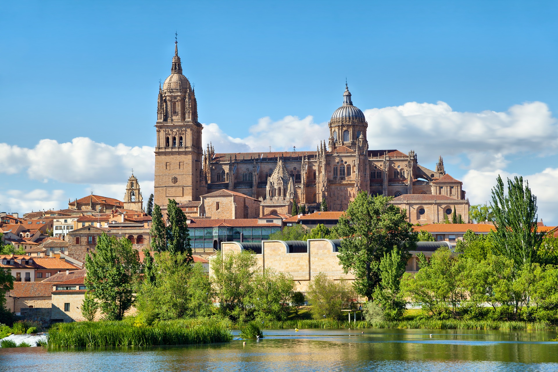 Salamanca Cathedral