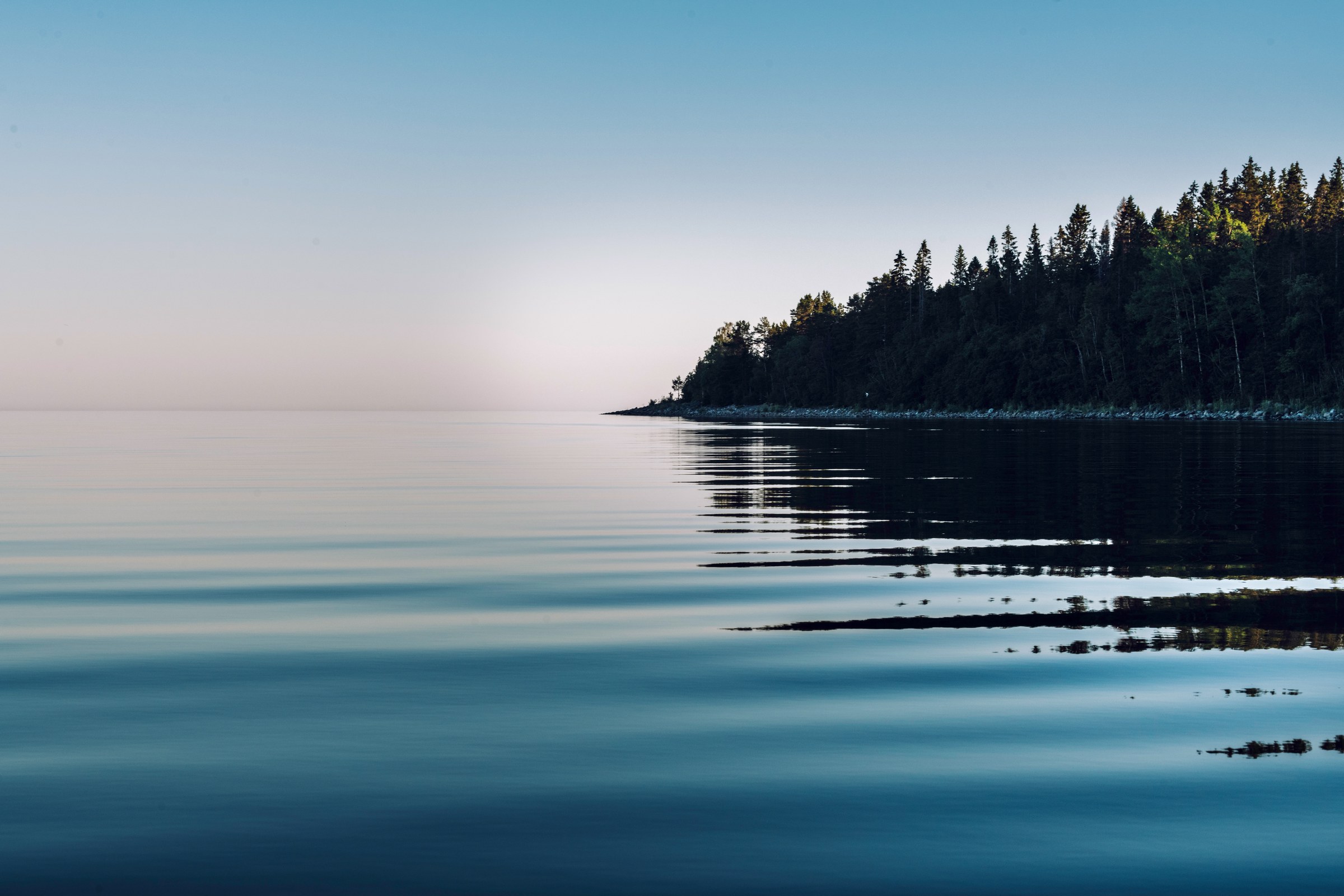 Dark pine-covered island point reflected in glassy calm water under a pale pink and blue dusk sky