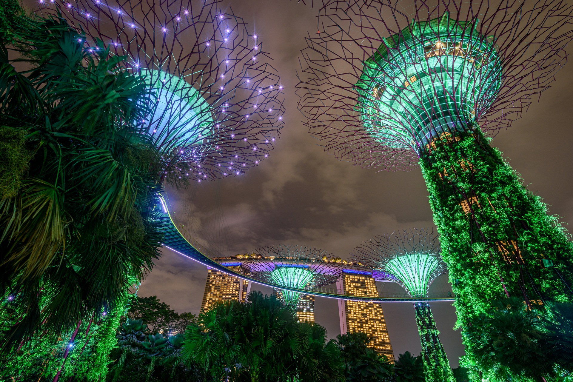Singapore gardens by the bay Illuminated at night