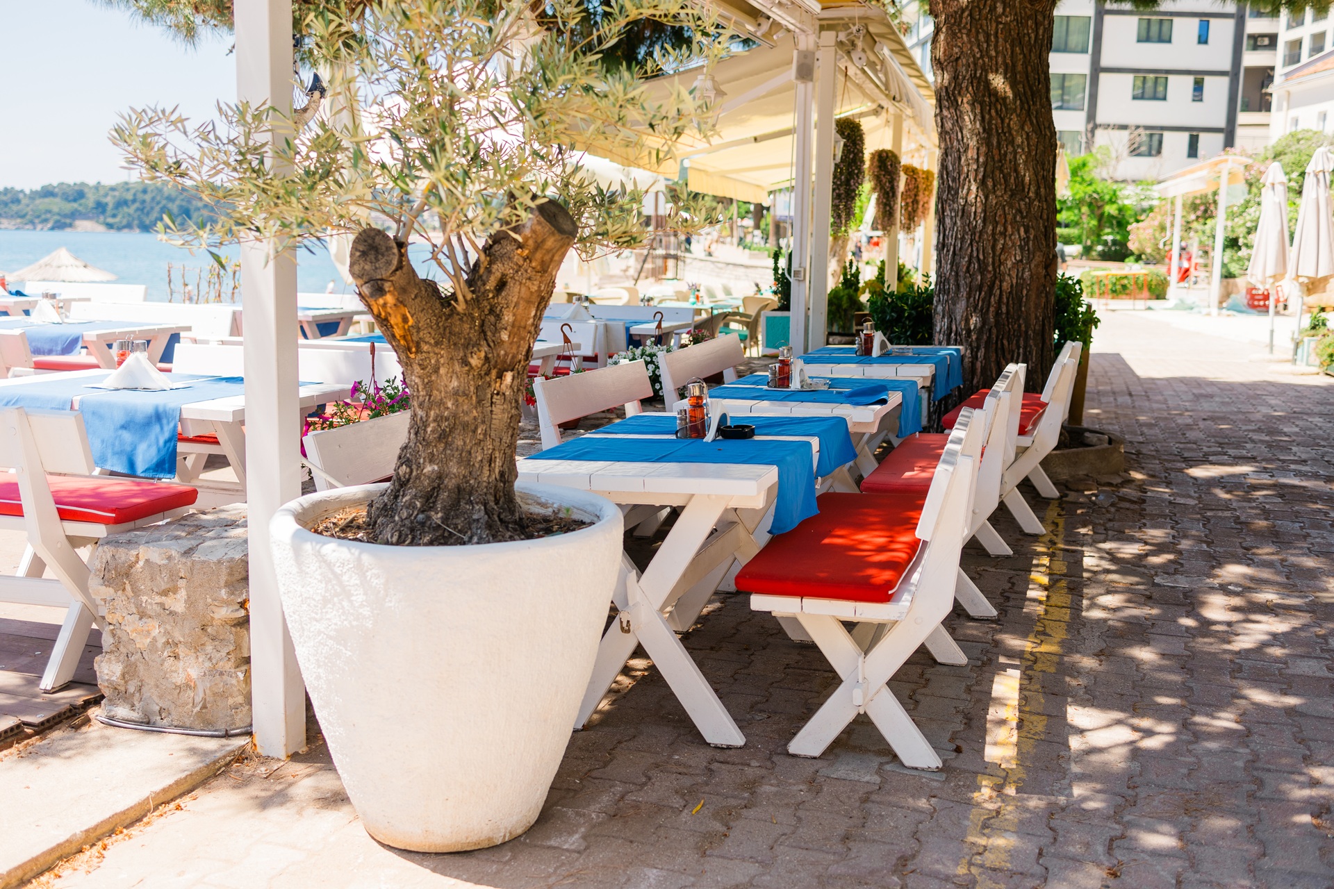 Greek Taverna