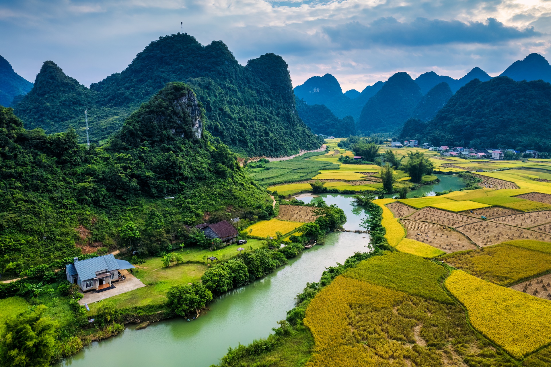 Vietnamese Rice paddies