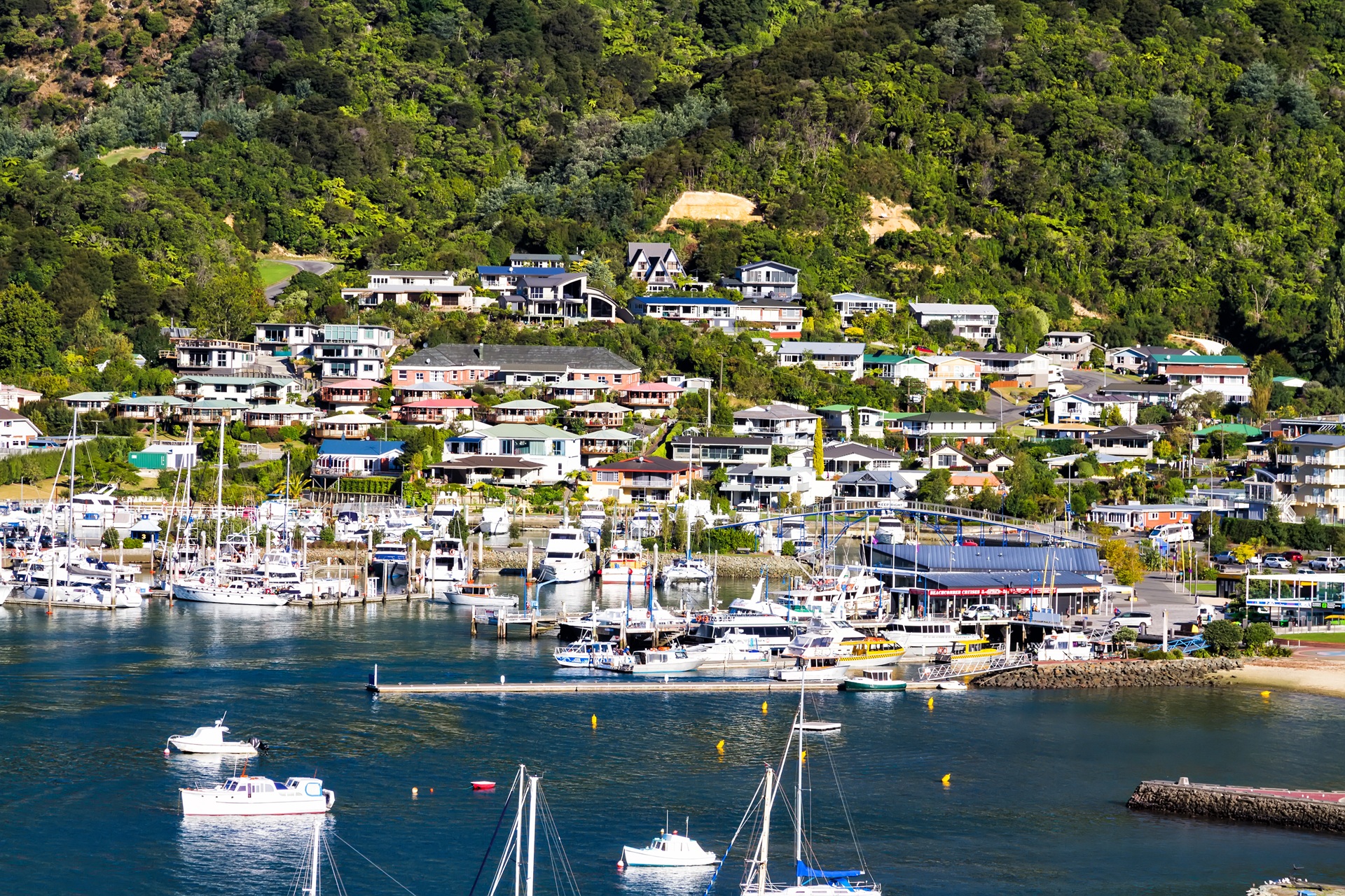 NZ Picton boats-moored-in-queen-charlotte-sound