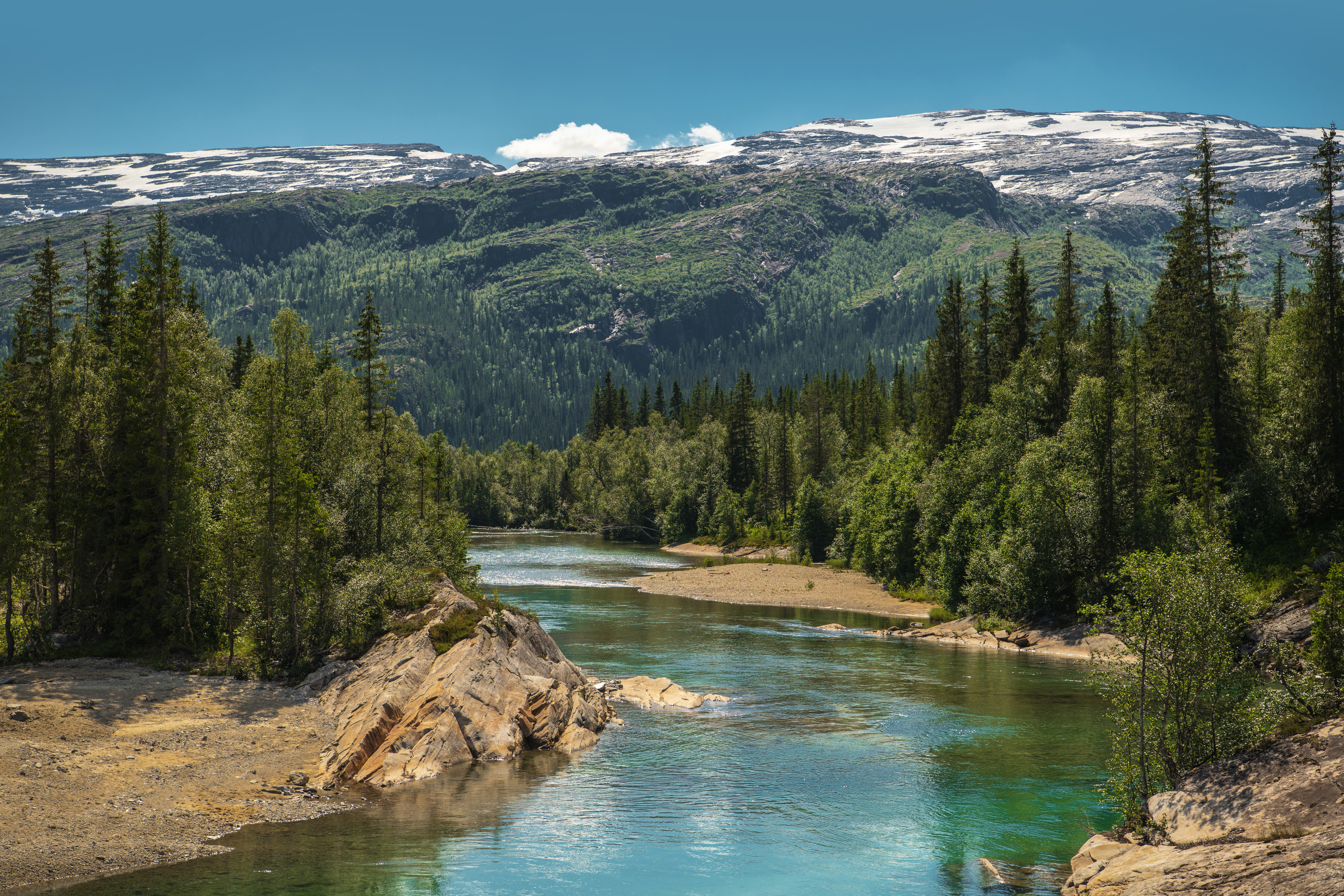 Alaskan summer landscape with river and mountains