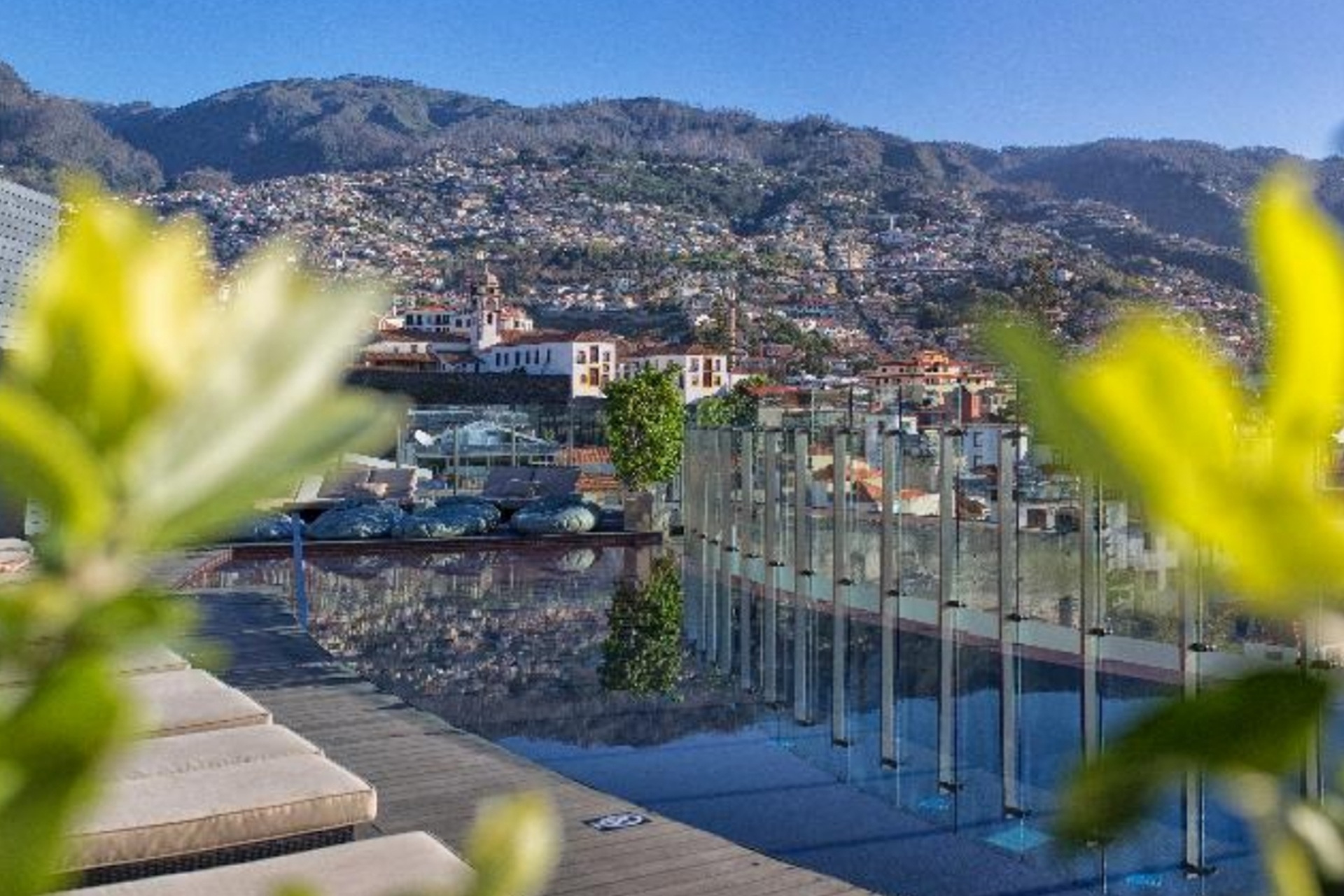 The Vine Madeira 1.jpg