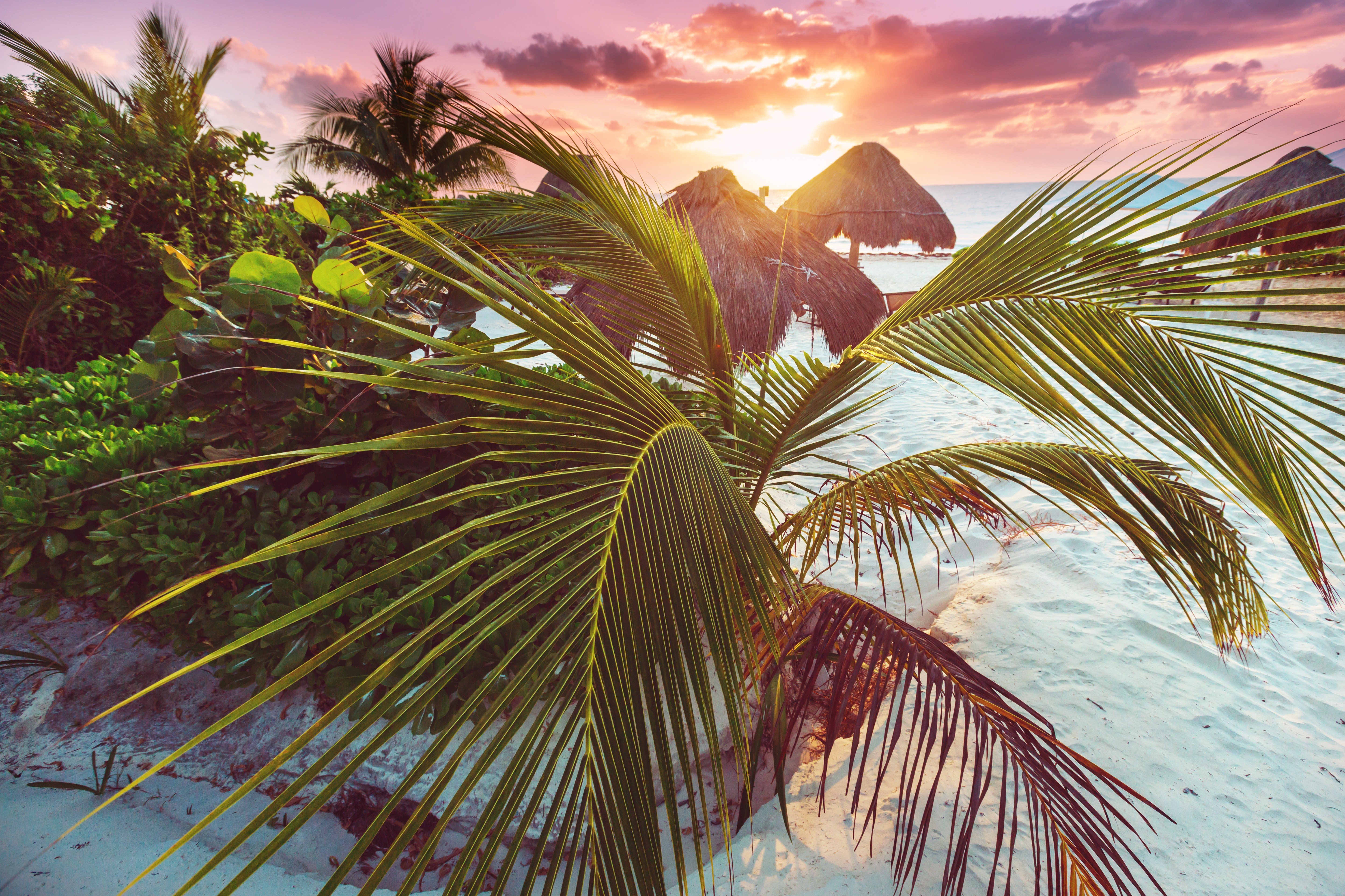Caribbean beach sunset