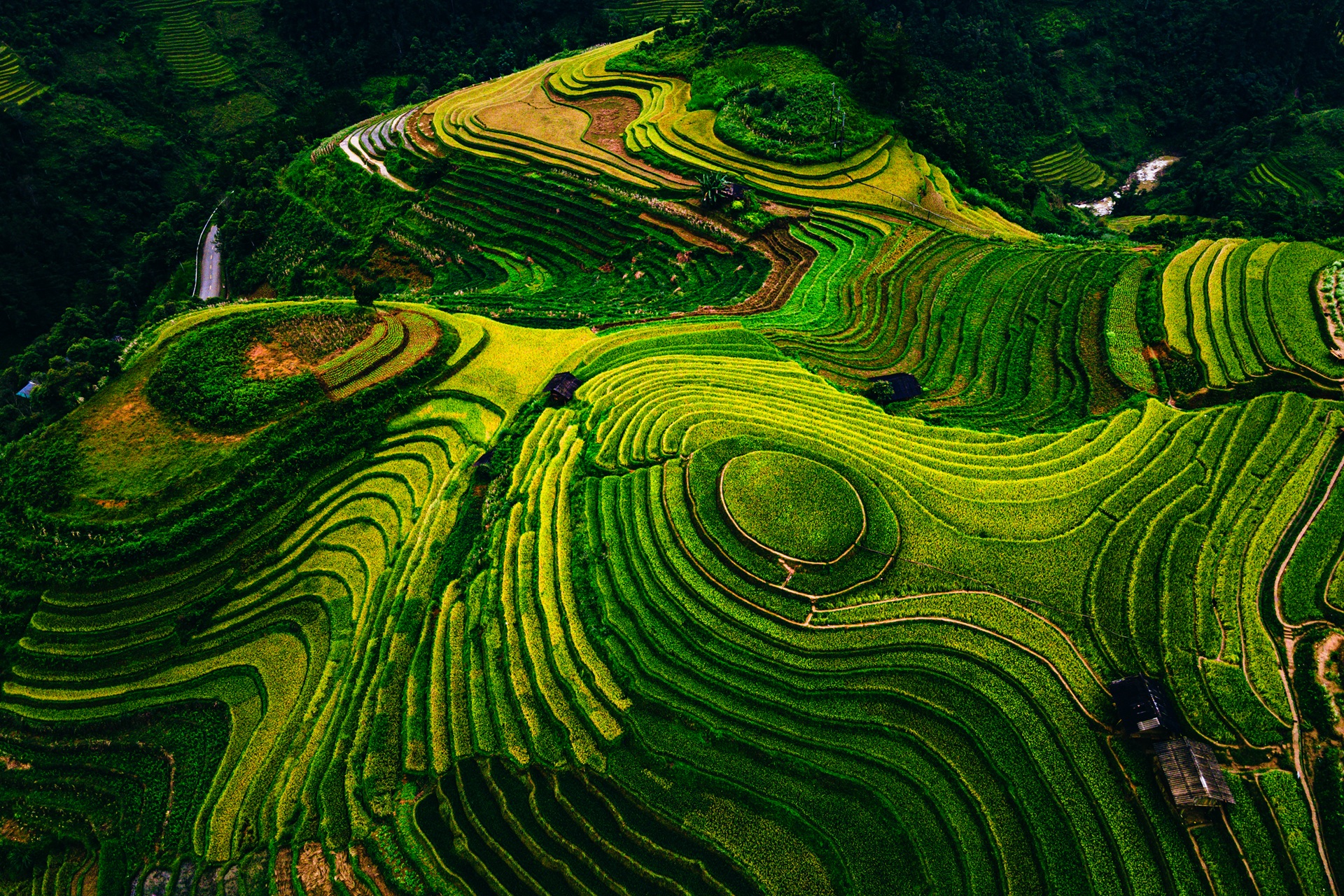 Terraced rice paddies