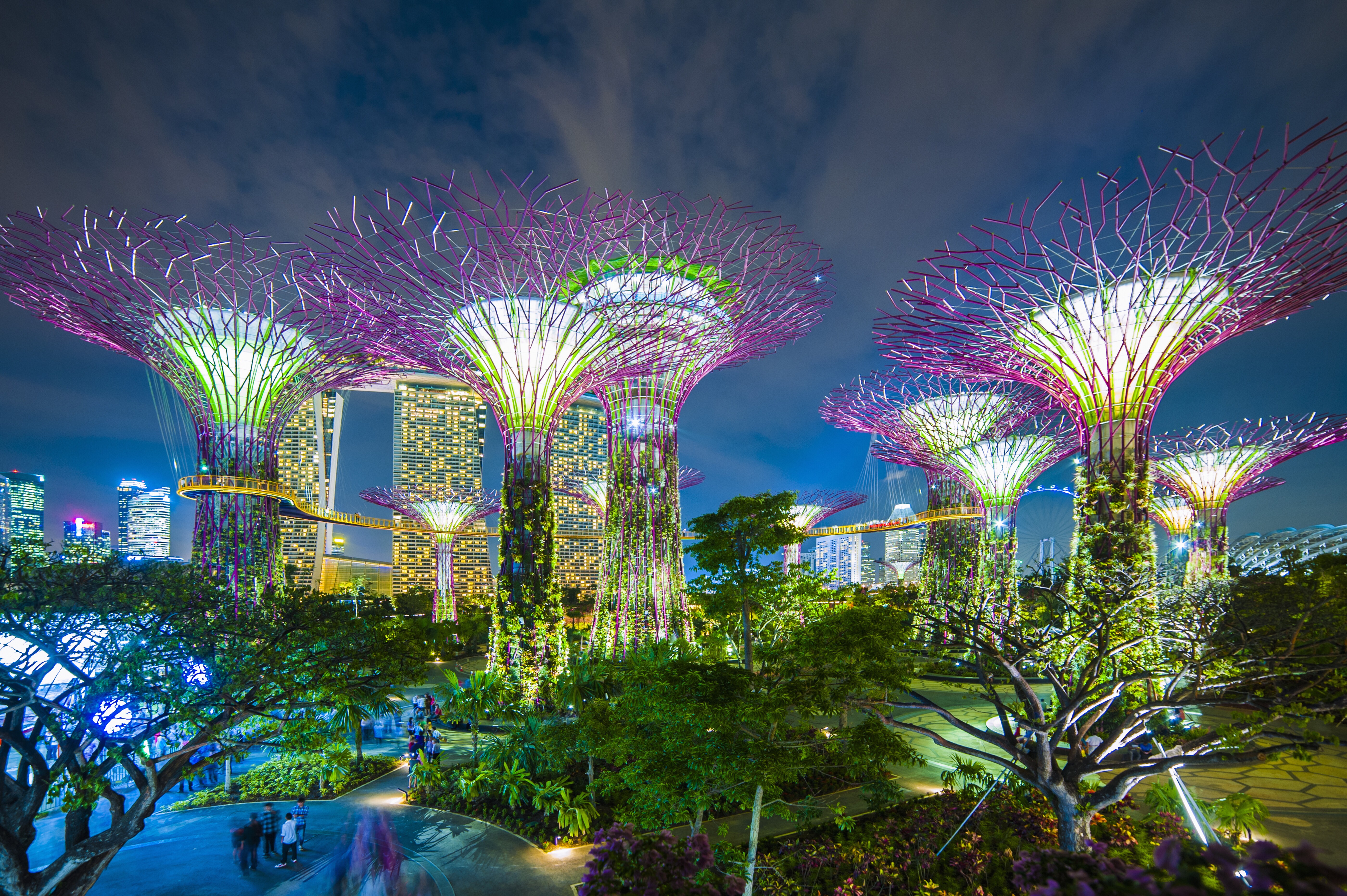 Singapore Supertree Grove