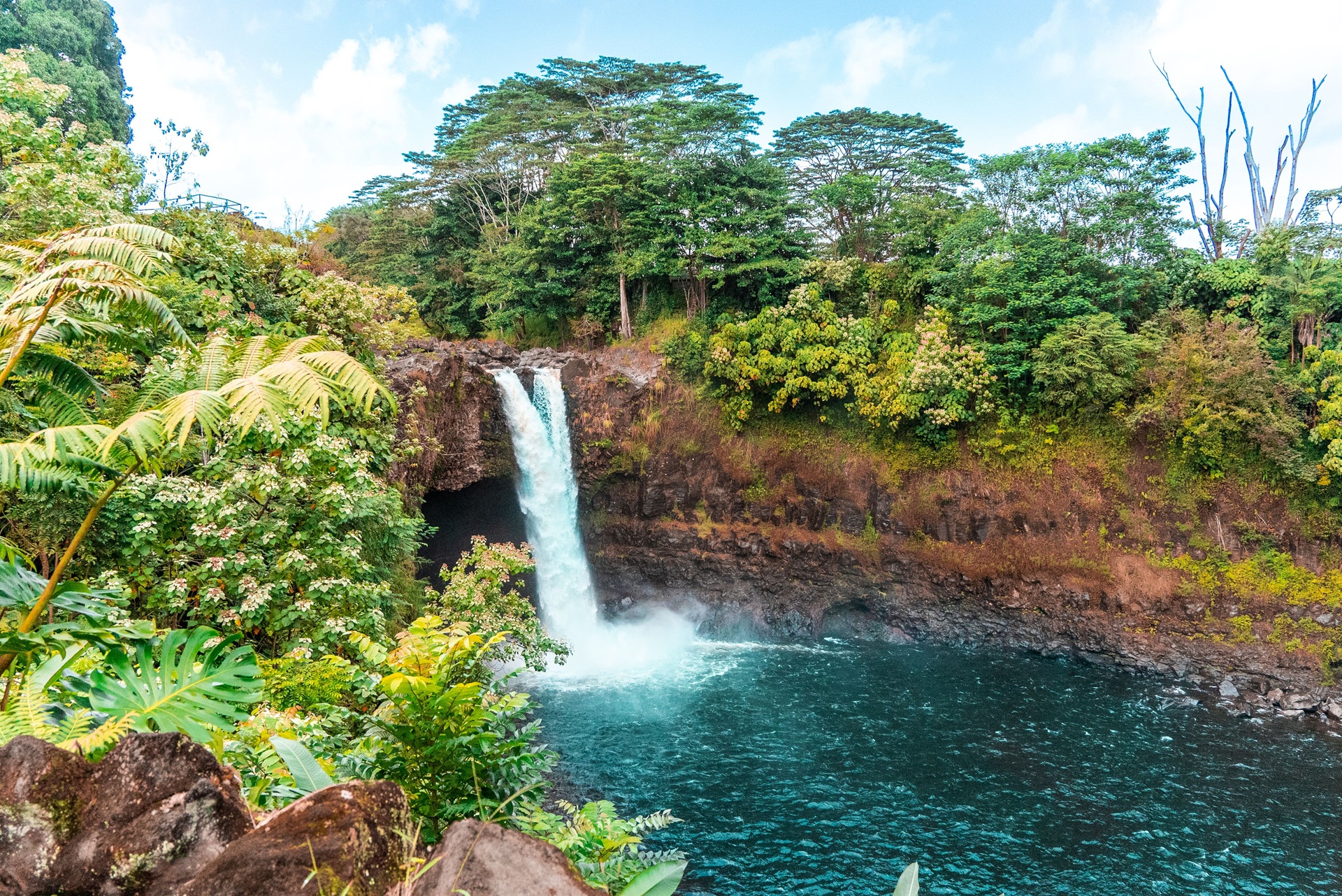 Hilo Rainbow Falls