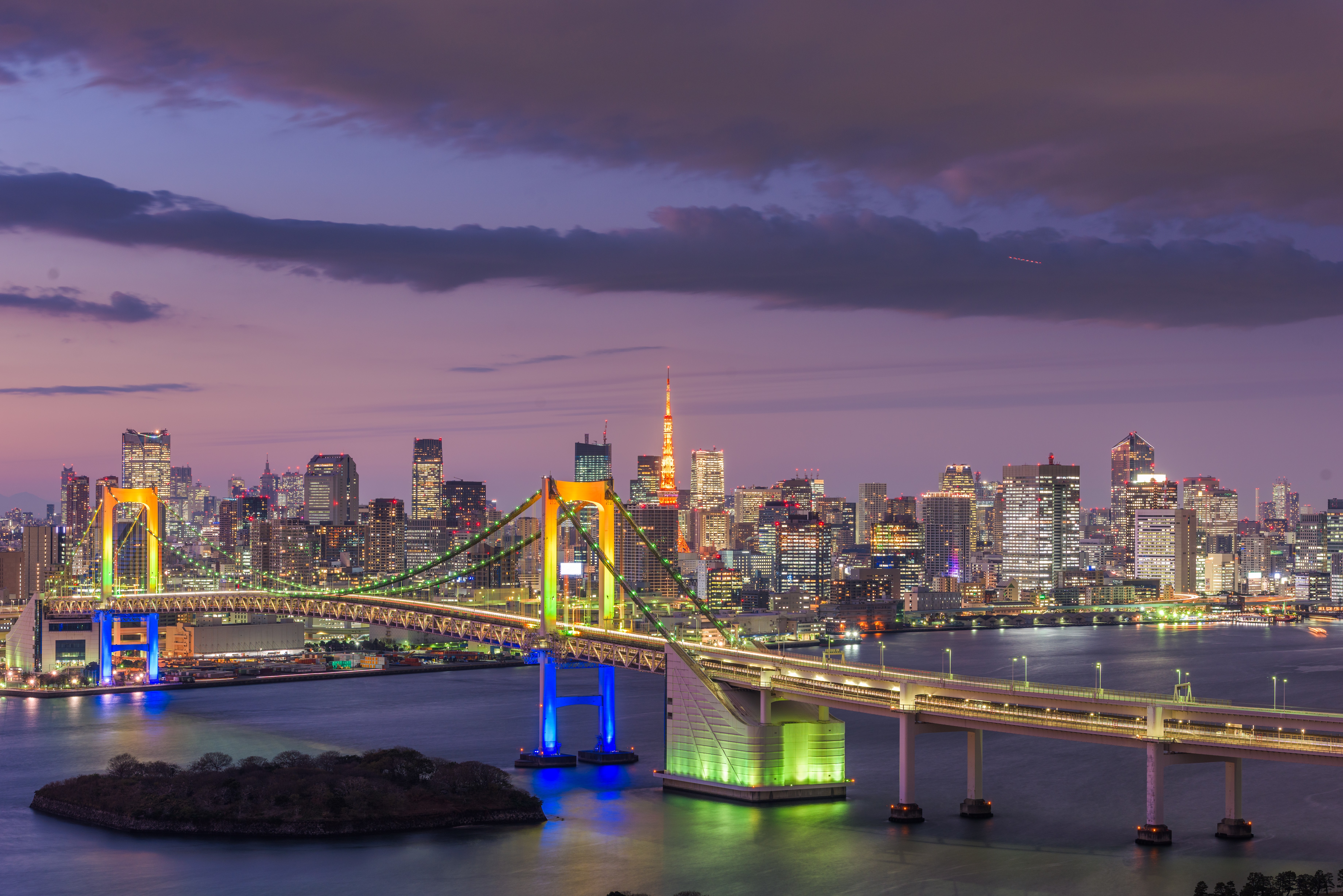 Tokyo skyline illuminated at night