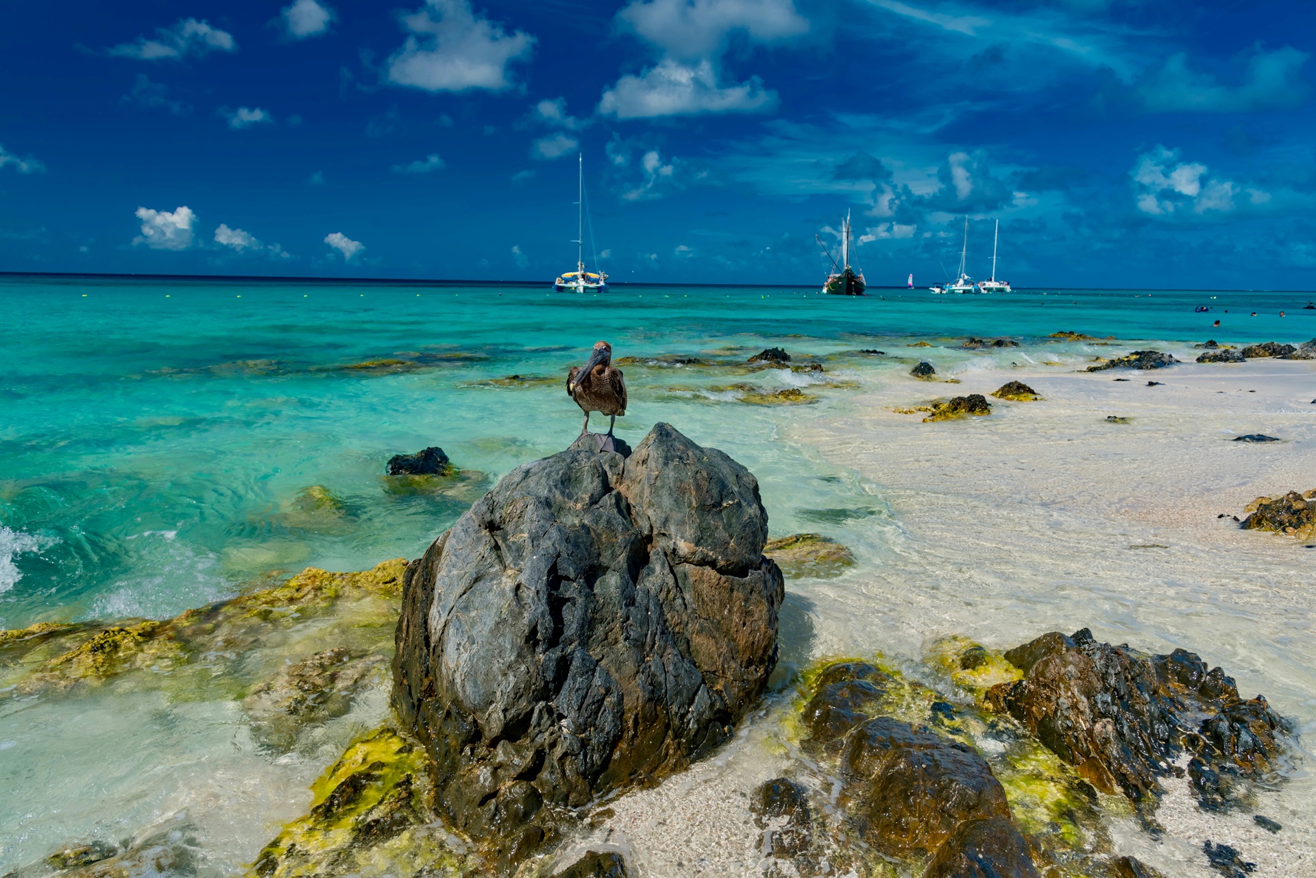 Aruba white sand boulder strewn beach with aquamarine sea