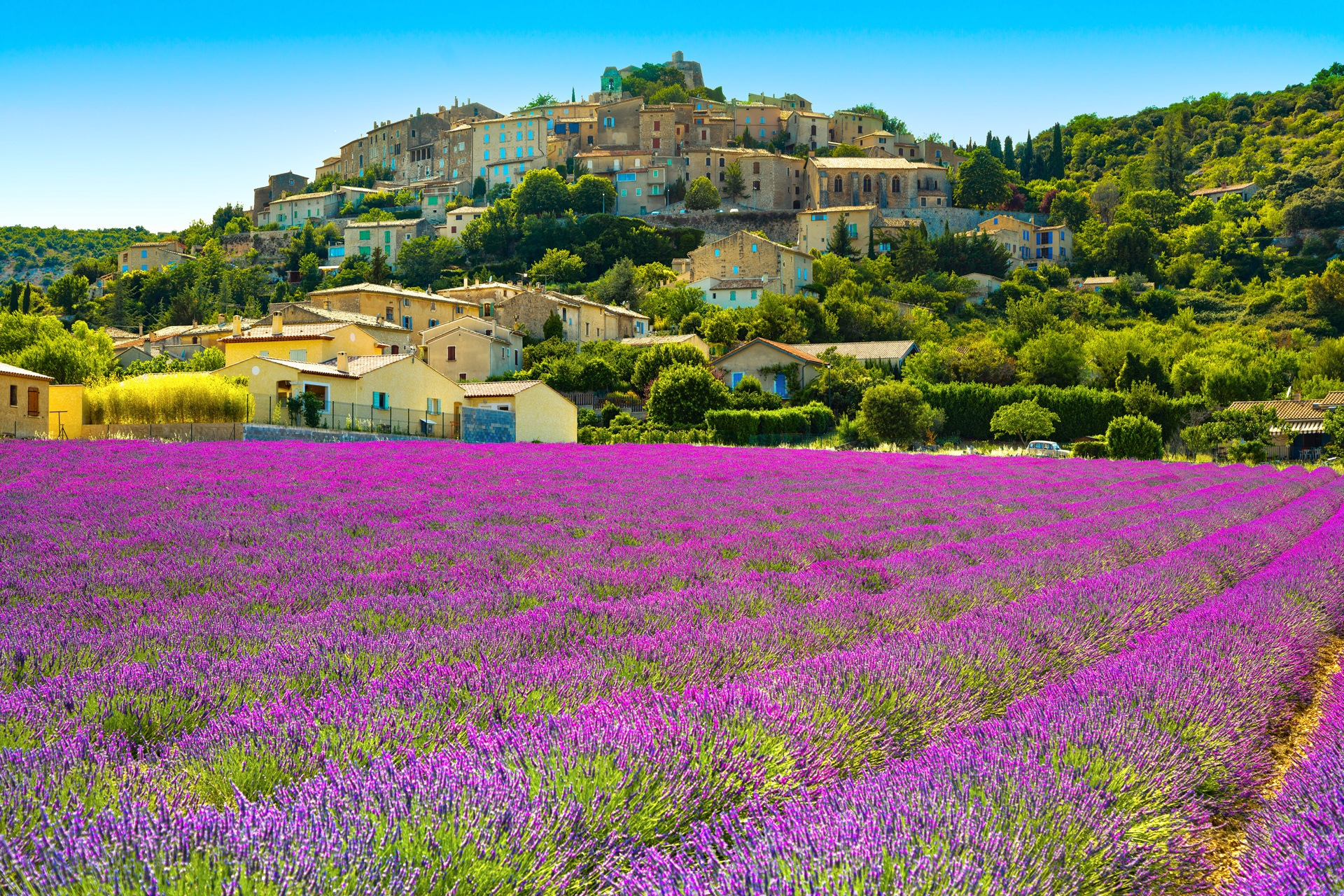 France Provence simiane-la-rotonde-village-and-lavender field from Marseille