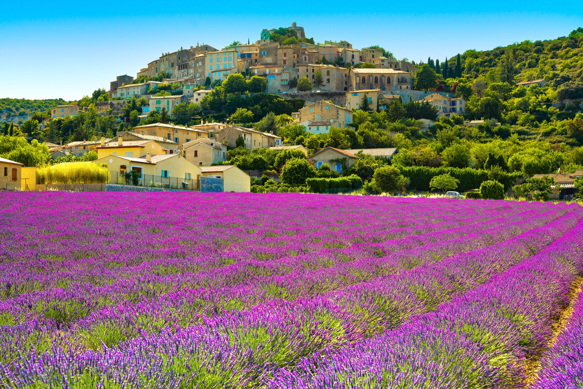 Provence