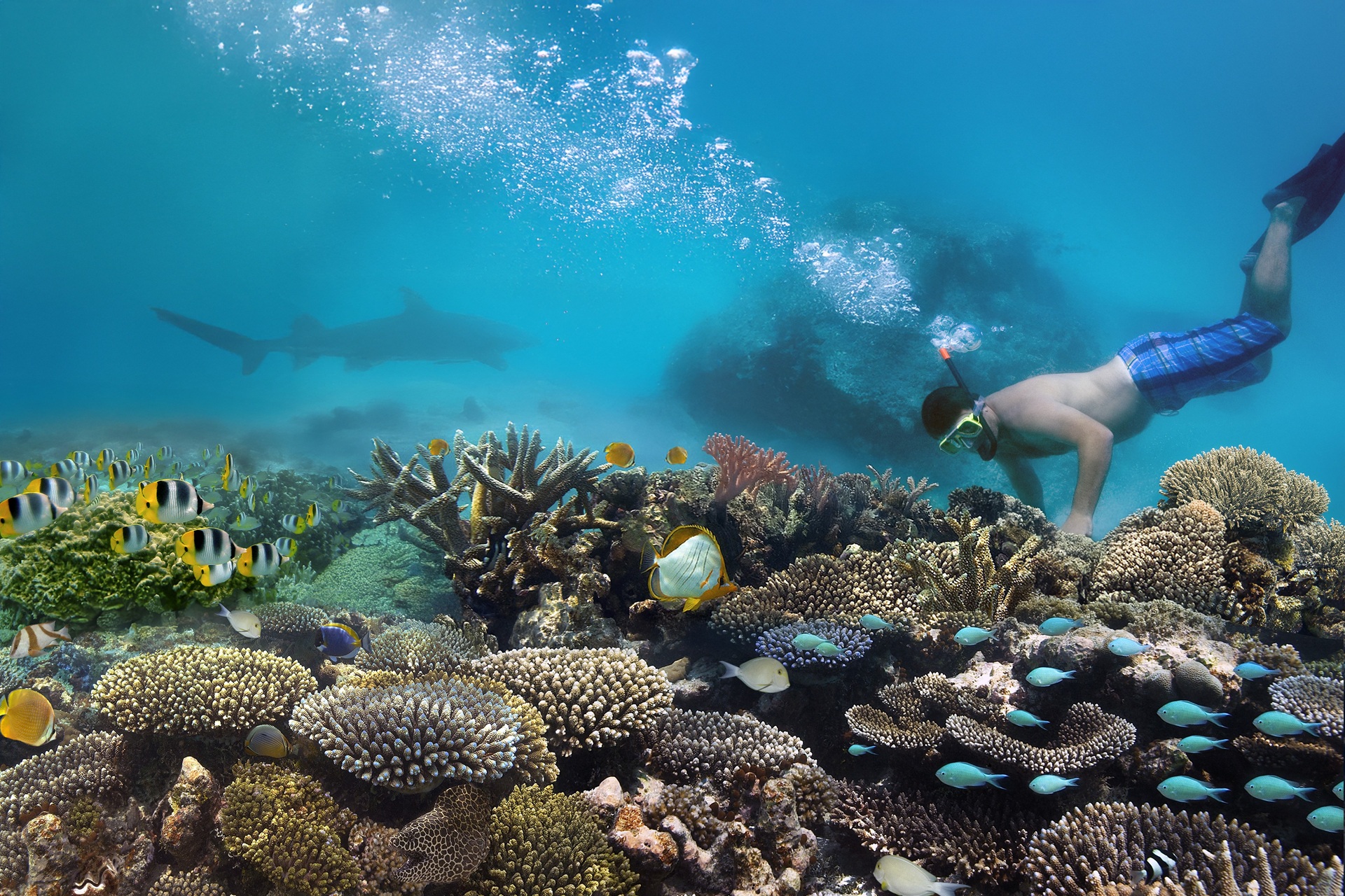 Snorkelling in the Bahamas