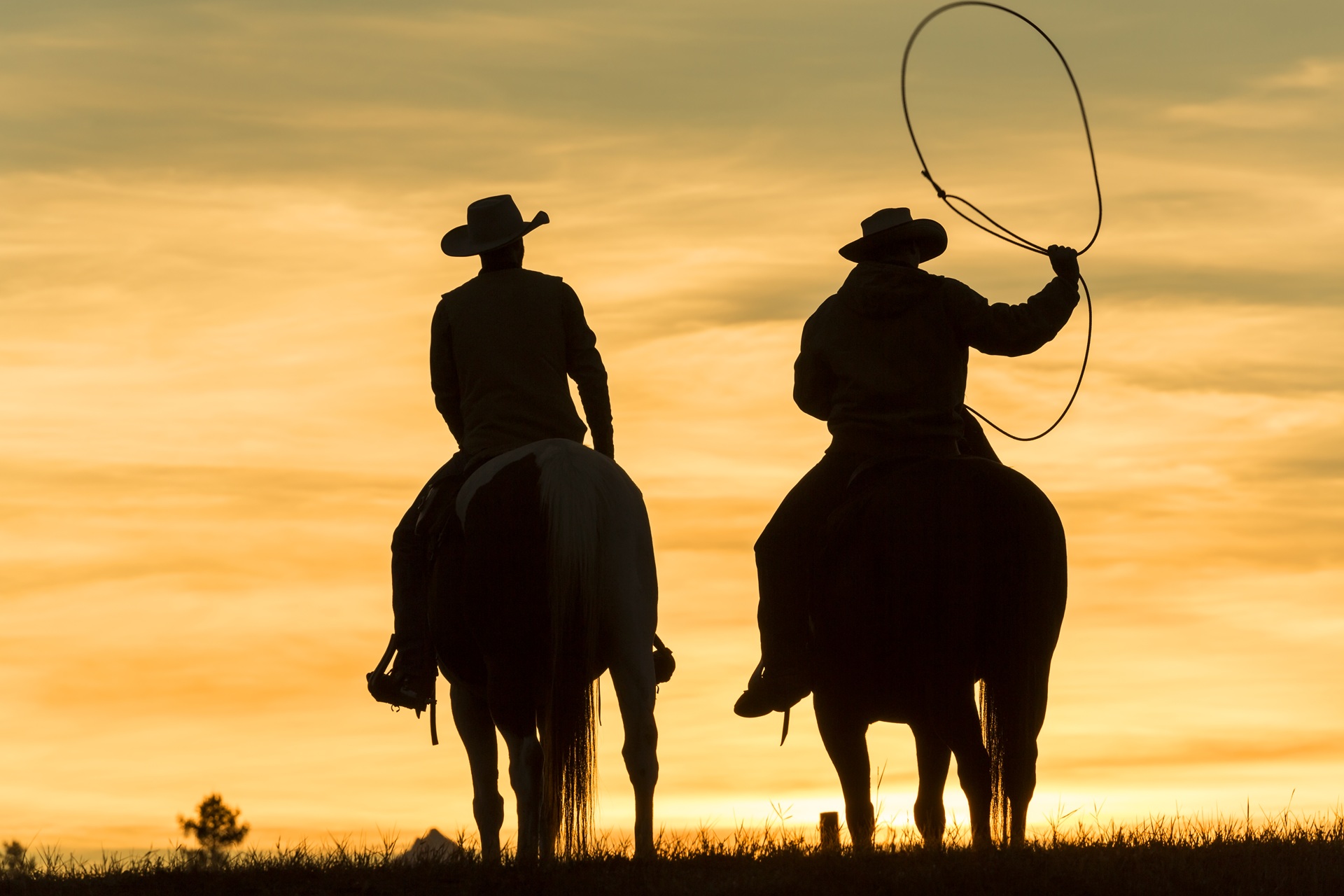 Silhouette of Cowboys on Horseback