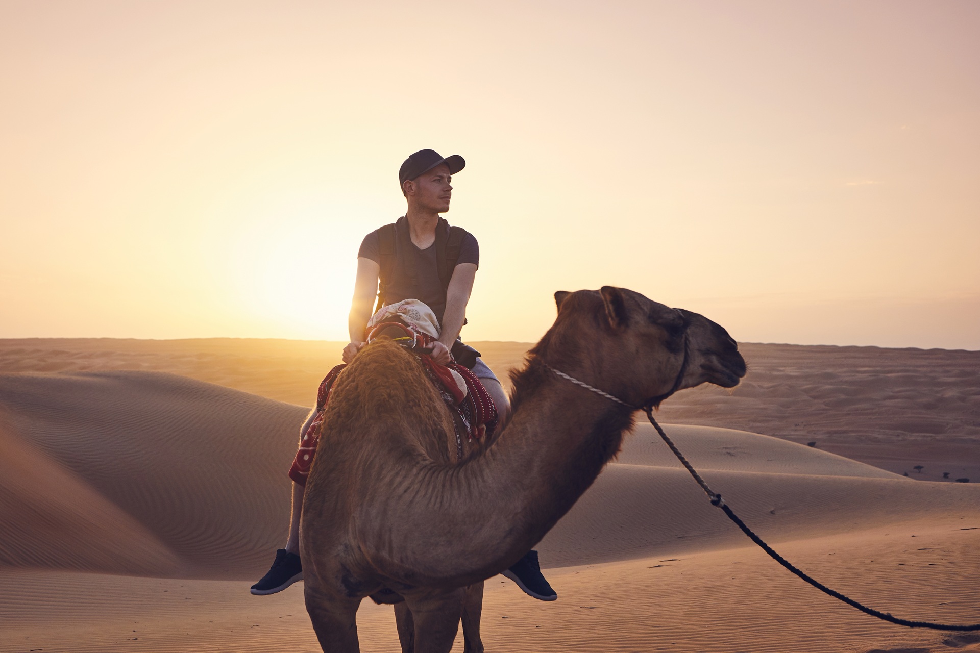 Camel rides in the desert