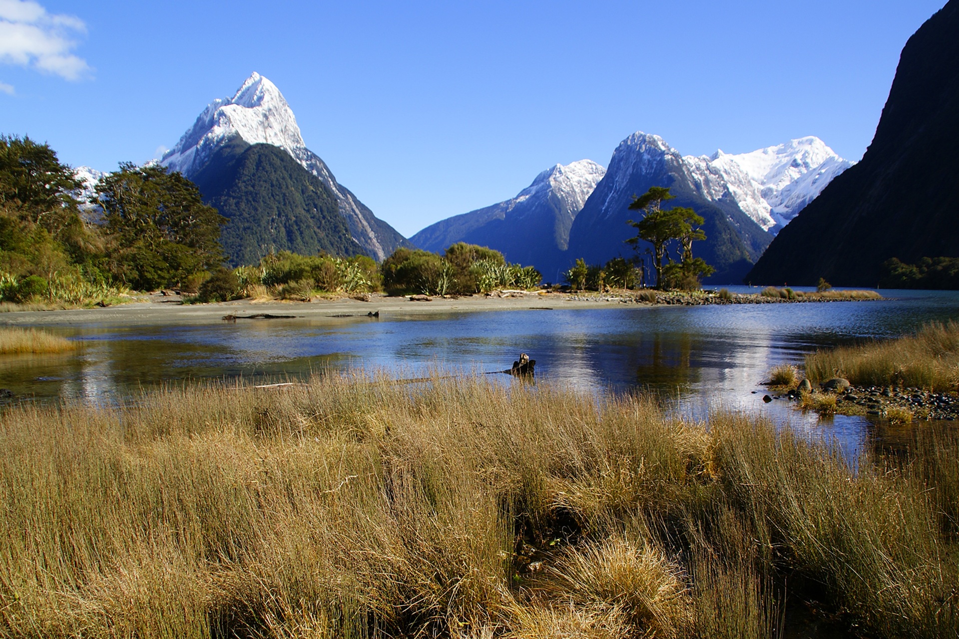 view-of-the-milford-sound-mountains-in-new-zealand