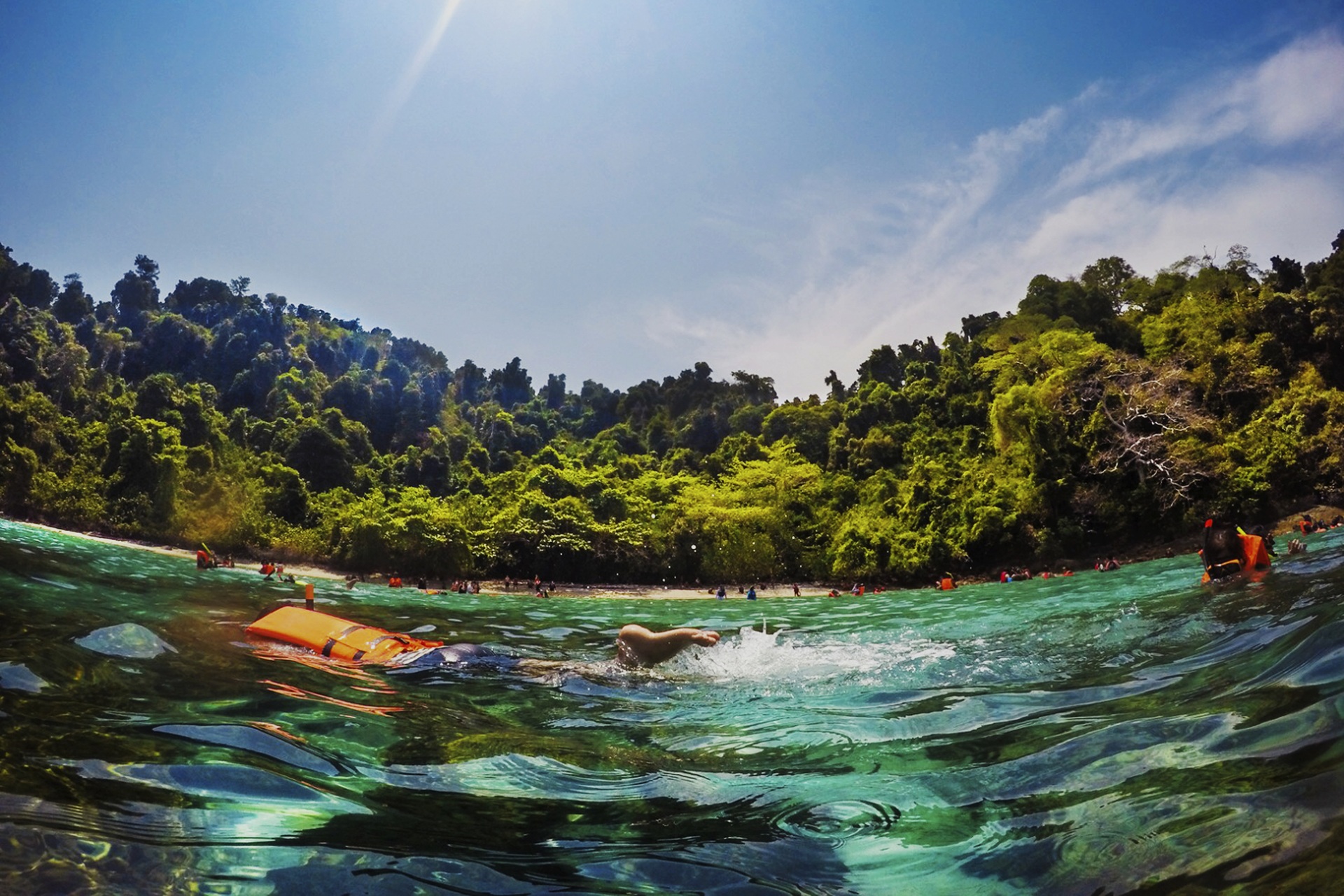 Fish eye view of Caribbean swimming