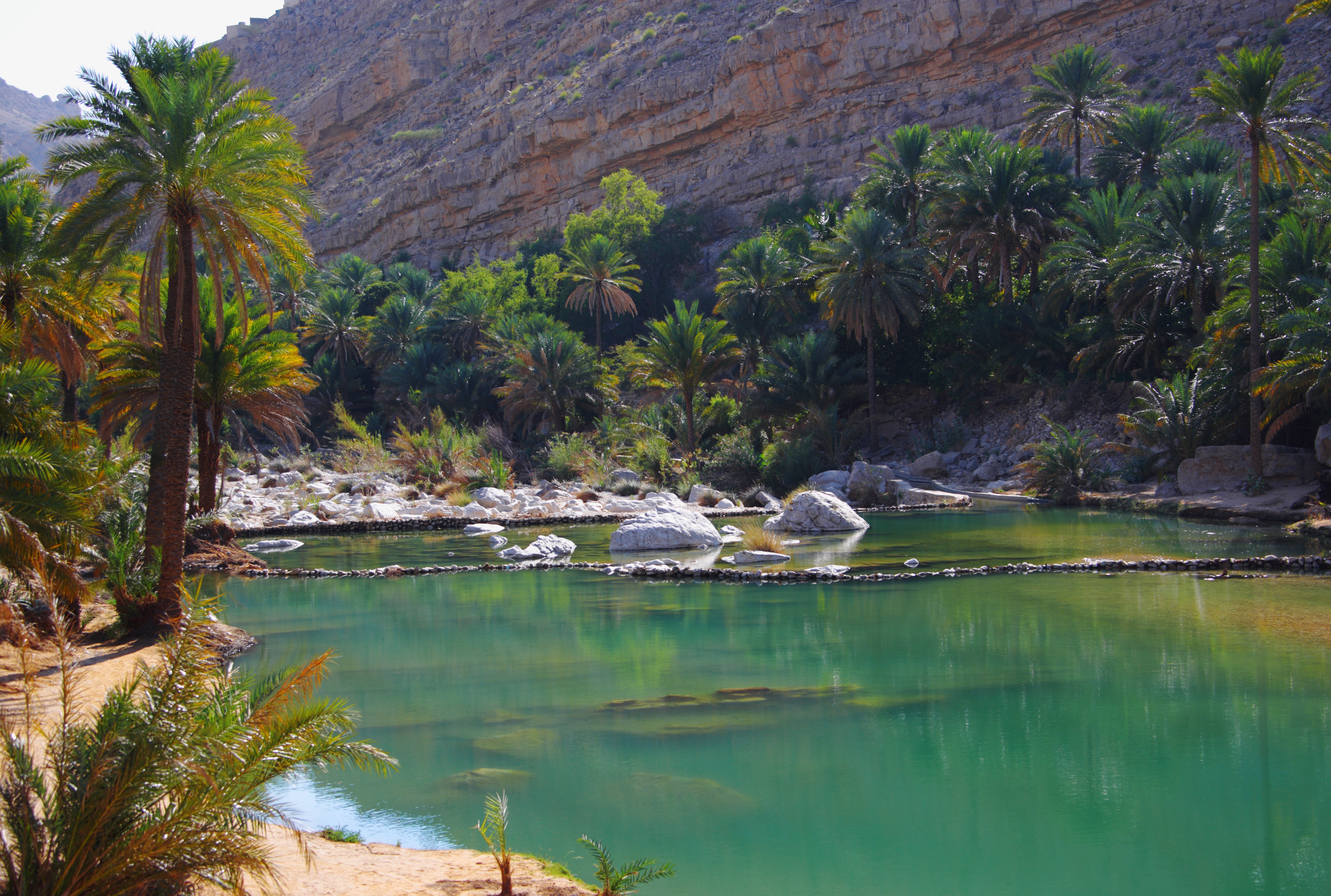 Oasis in Wadi Bani Khalid
