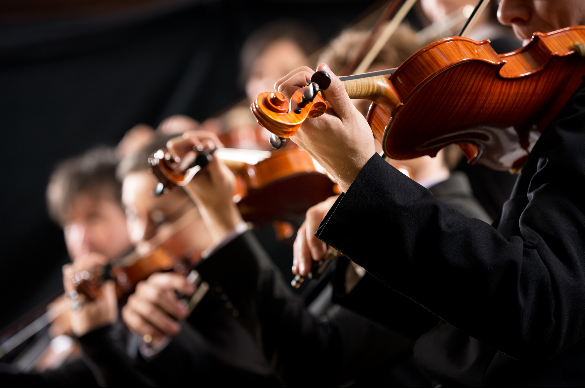 Orchestra playing violins