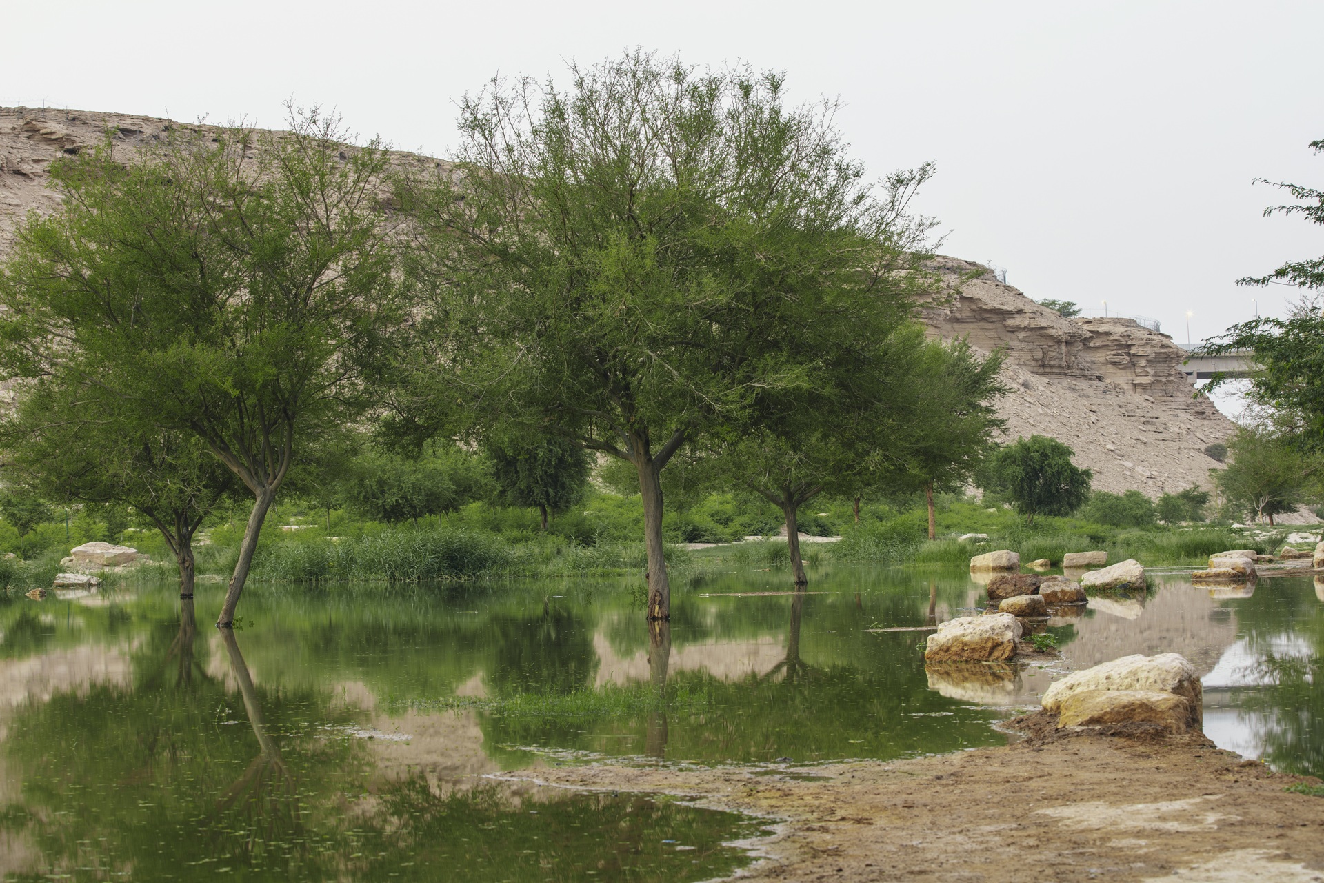 Wadi Hanifah