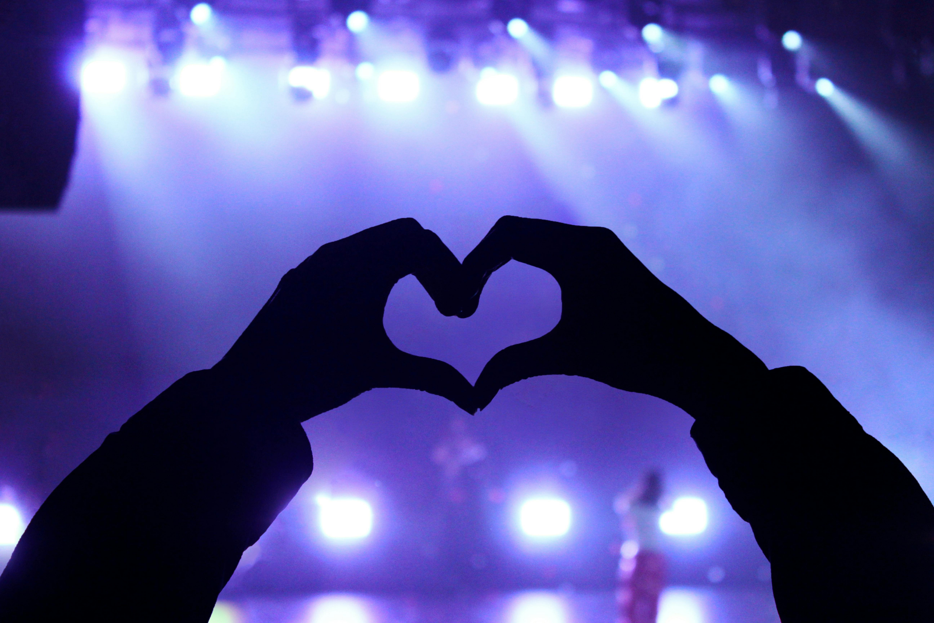 Concert Crowd hearts with hands