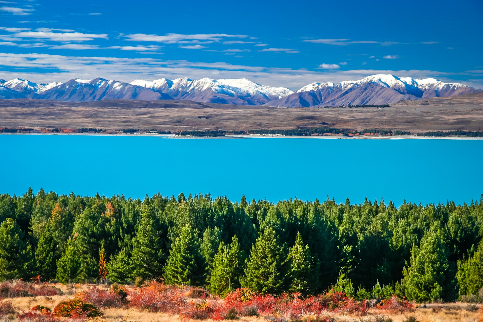 Lake Tekapo New Zealand